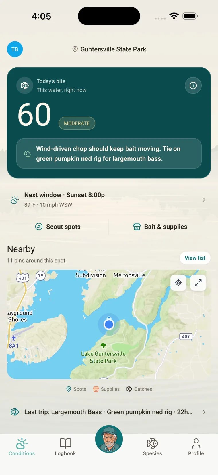 Current bite conditions and nearby water in Ask Gill